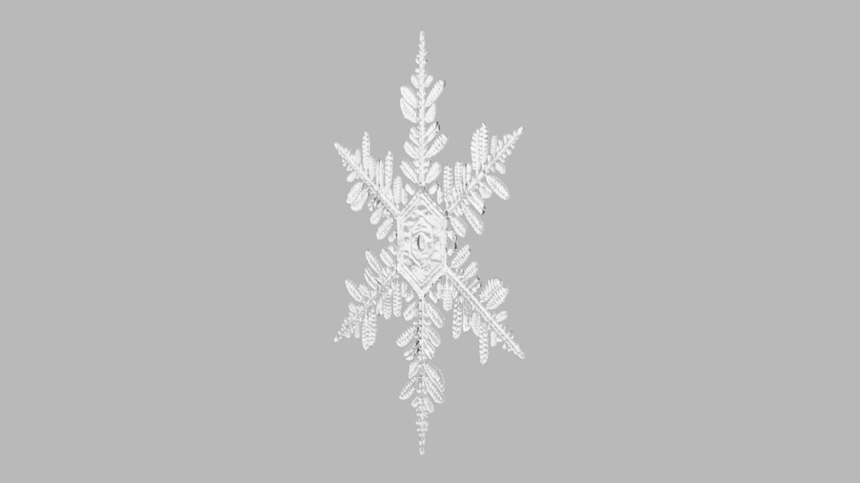 3D Detailed Snowflake model