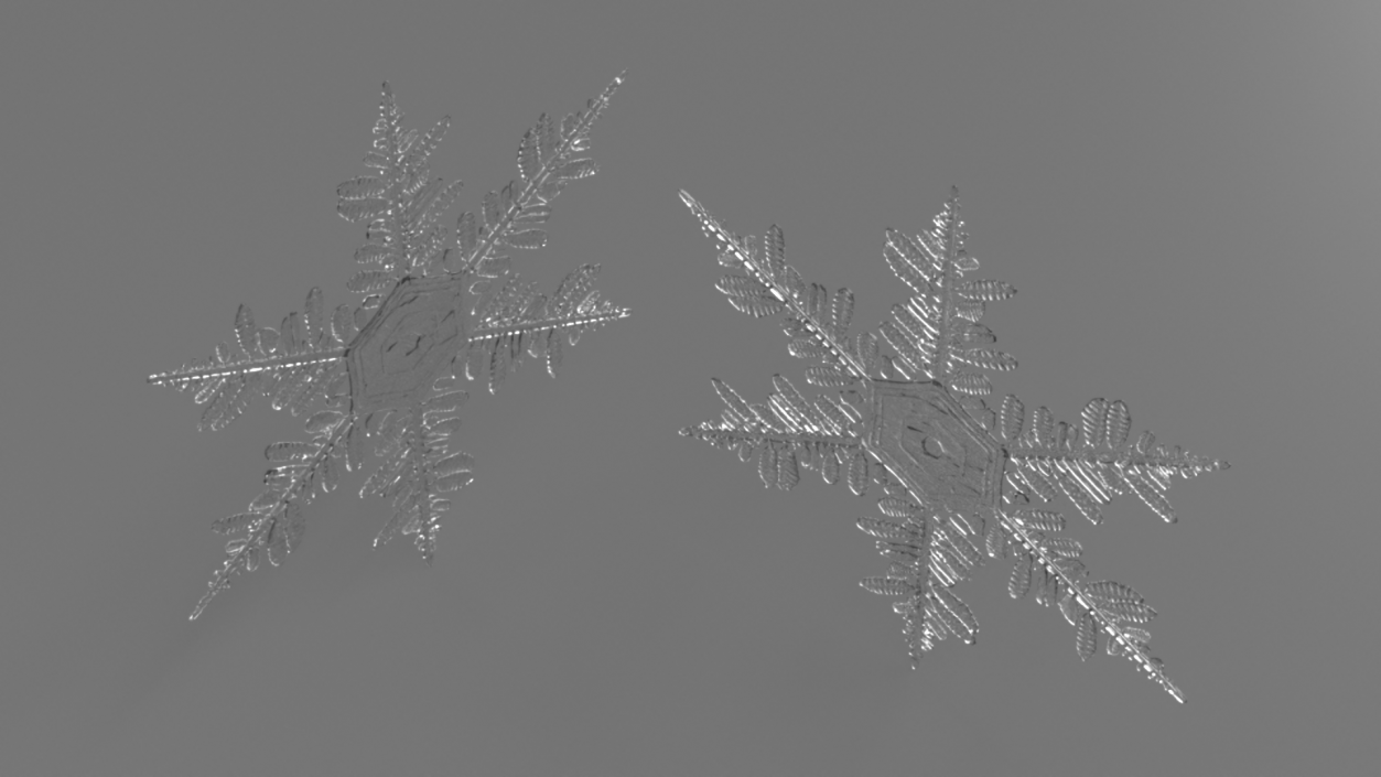 3D Detailed Snowflake model