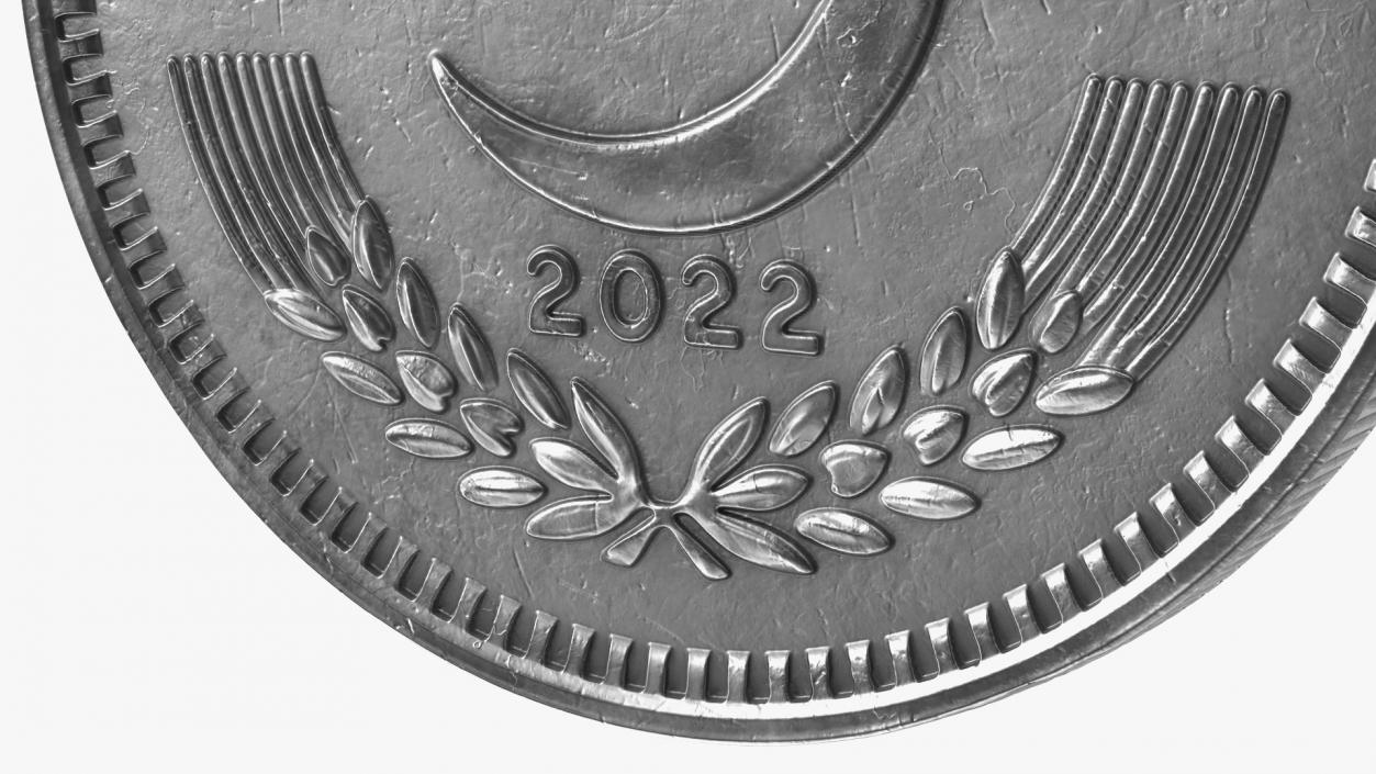 2 Pakistan Rupees Silver 3D model