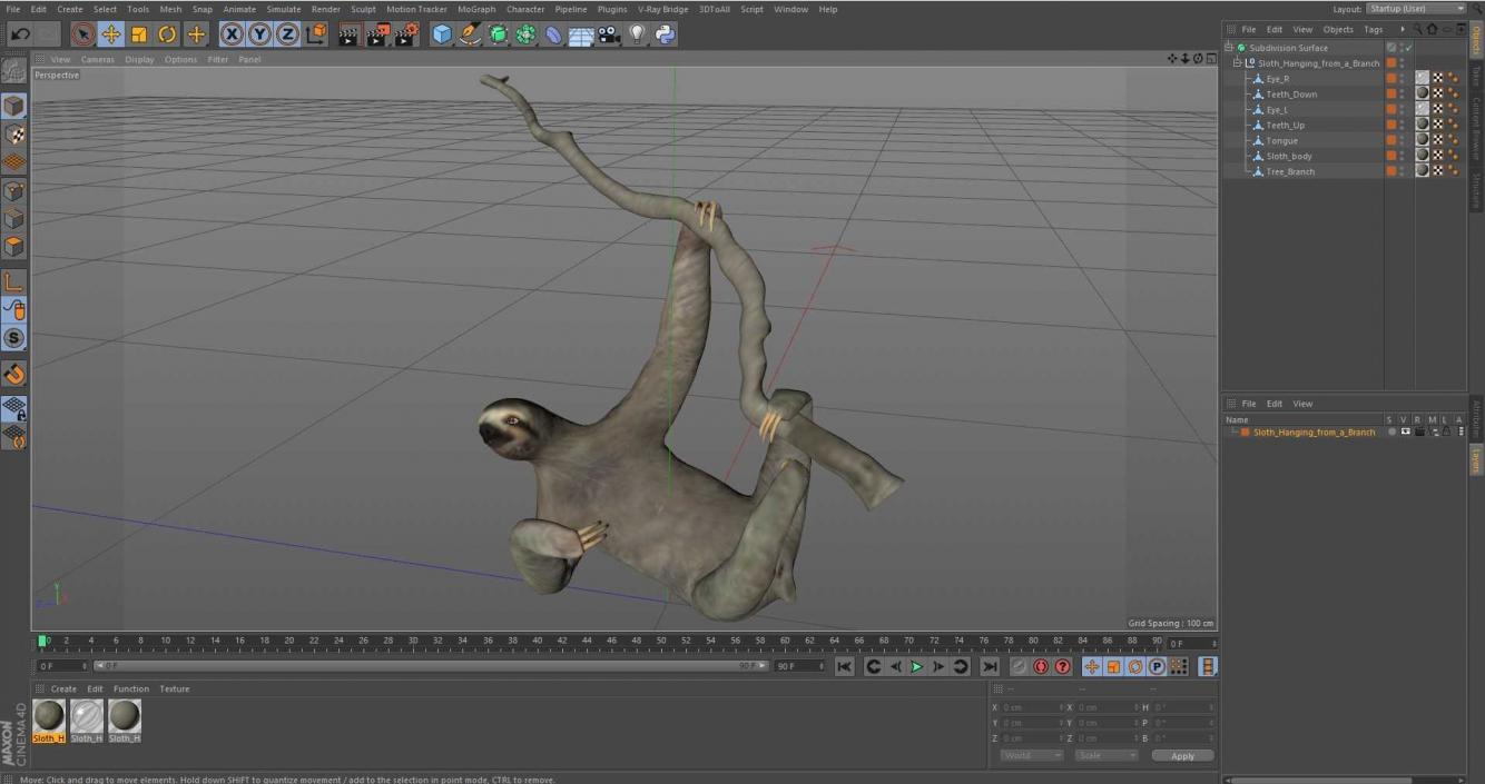 Sloth Hanging from a Branch 3D