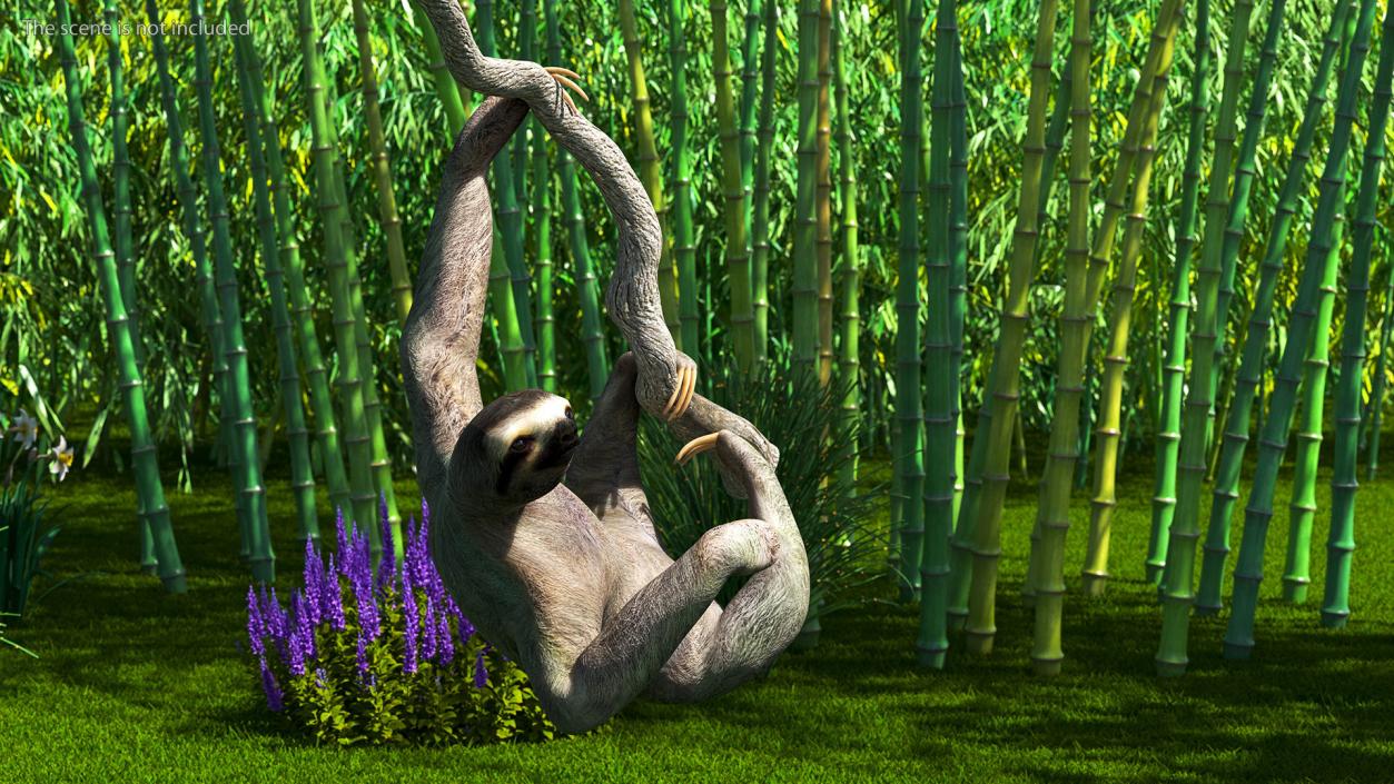 Sloth Hanging from a Branch 3D