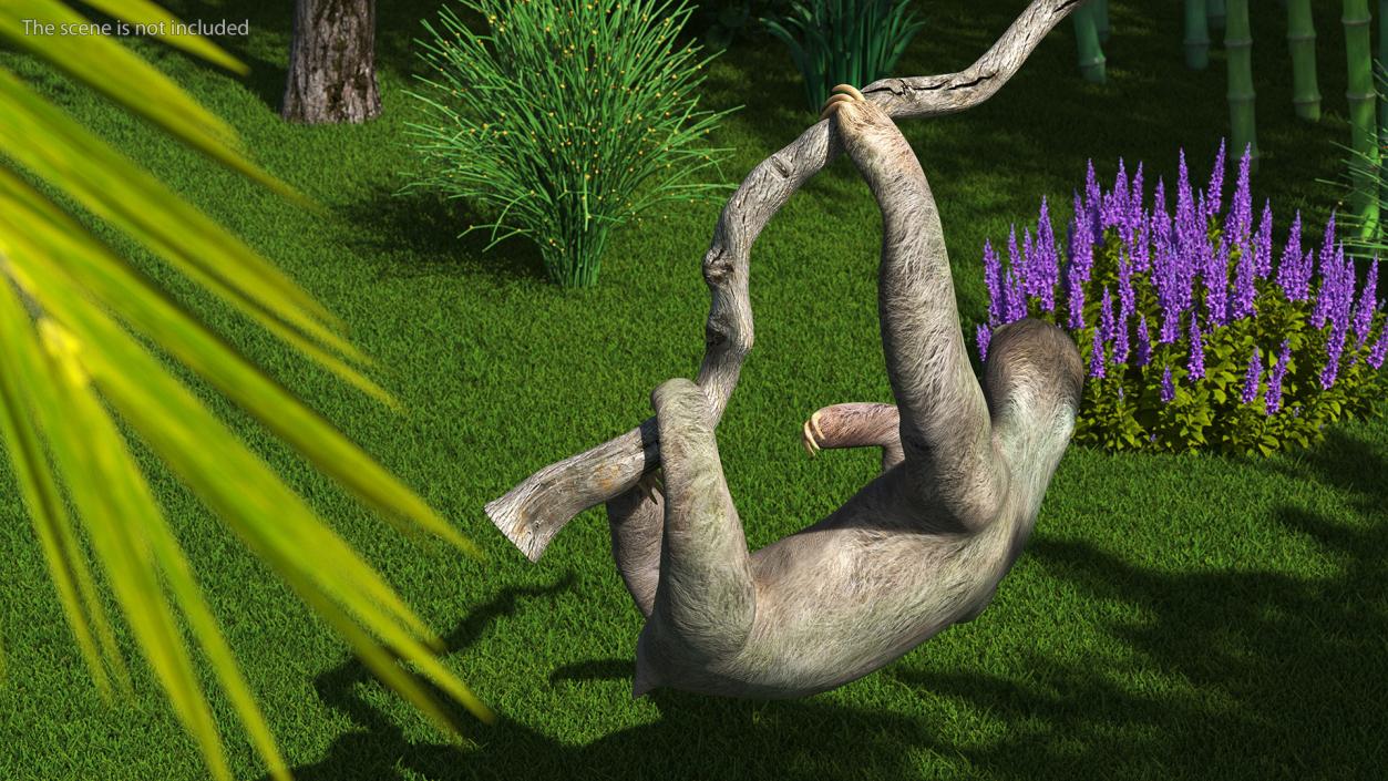 Sloth Hanging from a Branch 3D