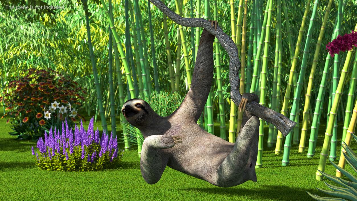 Sloth Hanging from a Branch 3D