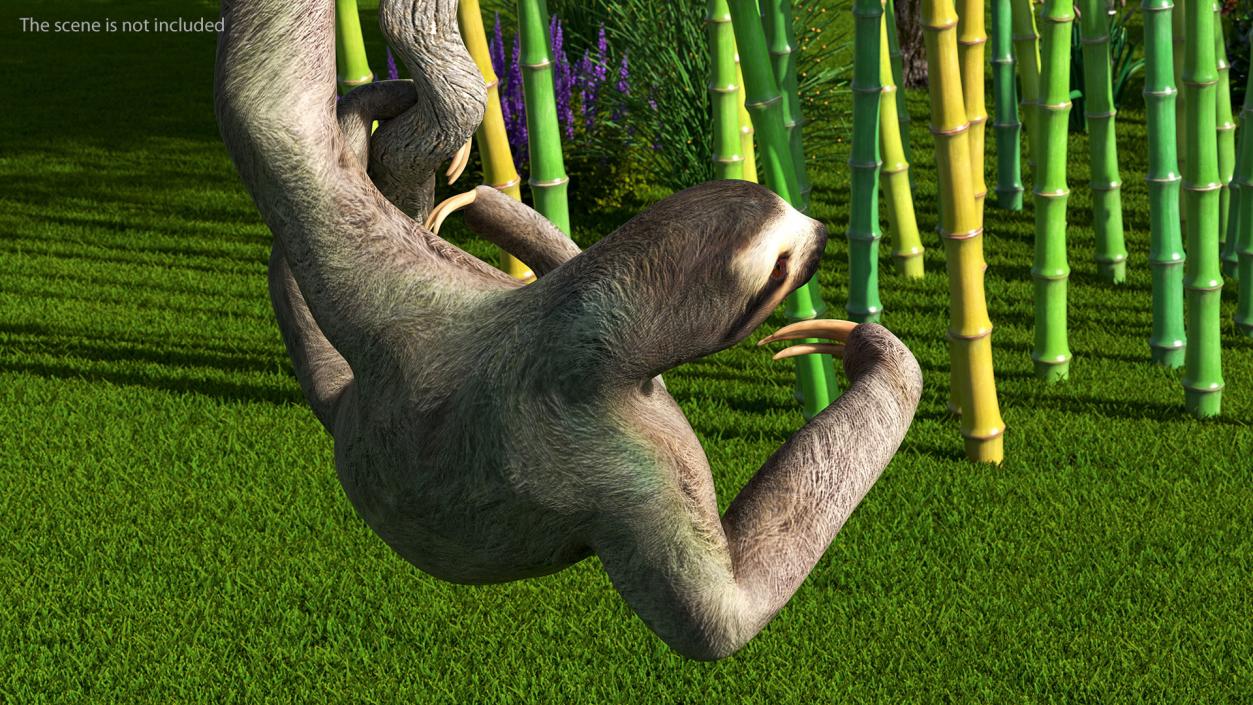 Sloth Hanging from a Branch 3D