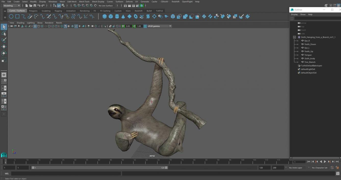 Sloth Hanging from a Branch 3D