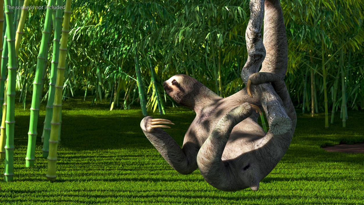 Sloth Hanging from a Branch 3D