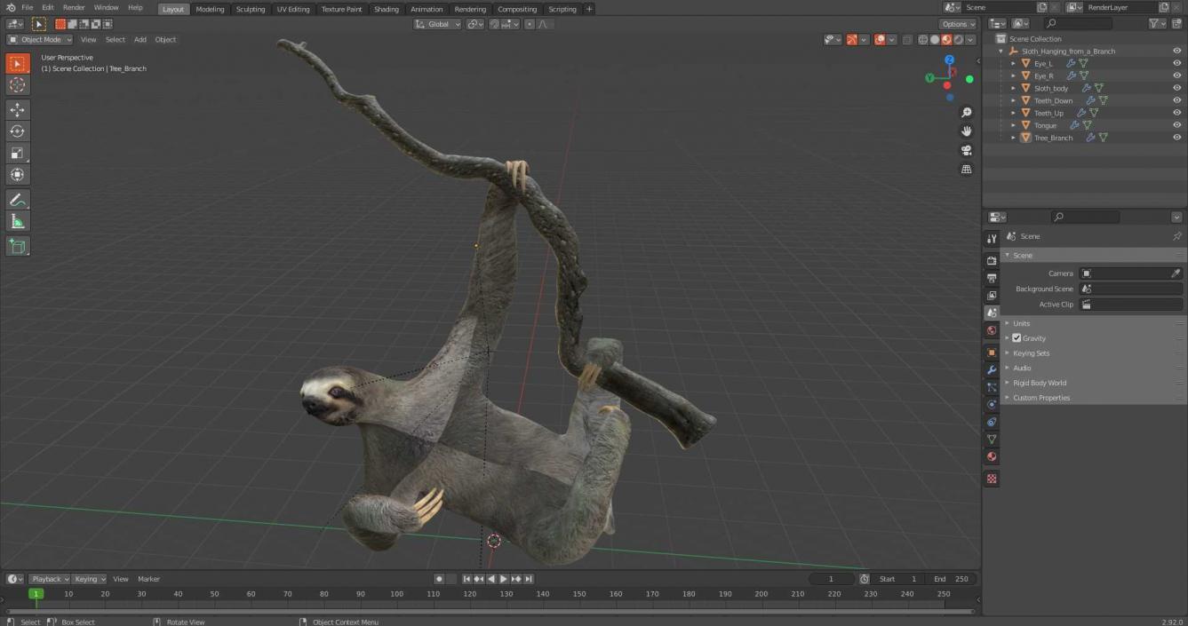 Sloth Hanging from a Branch 3D