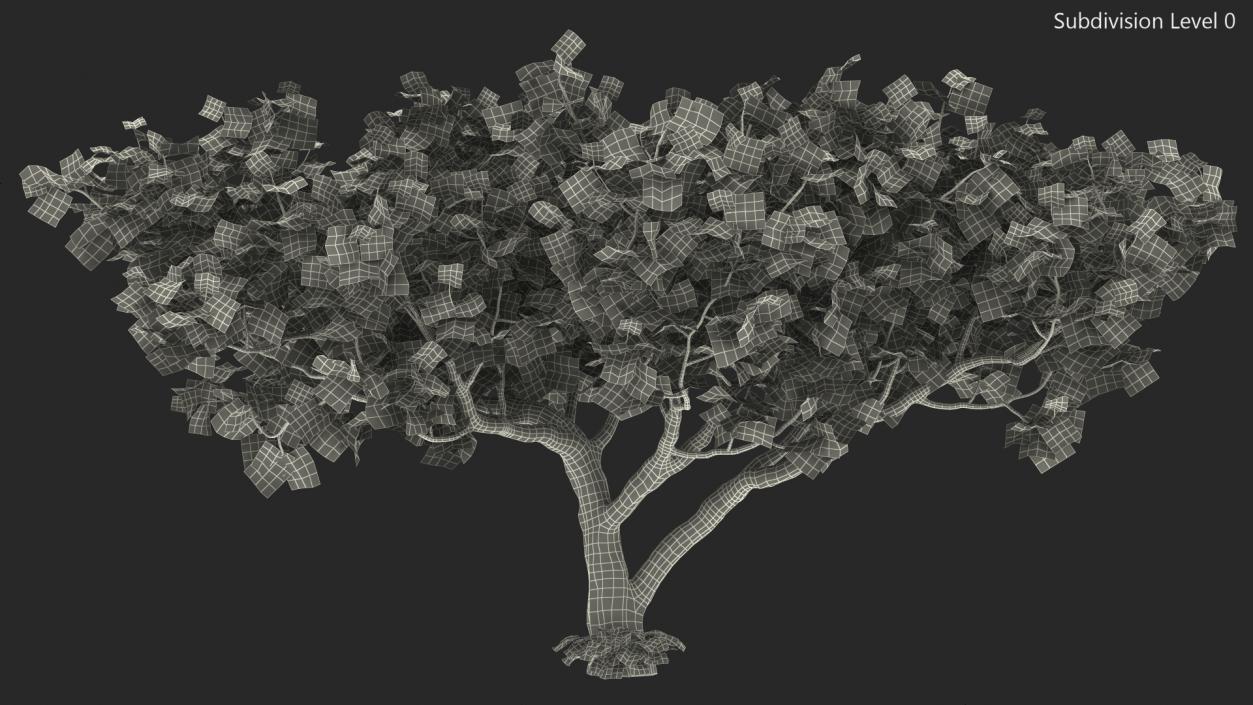 3D model Fig Tree Autumn