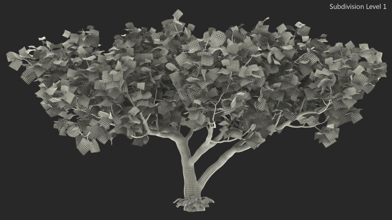 3D model Fig Tree Autumn