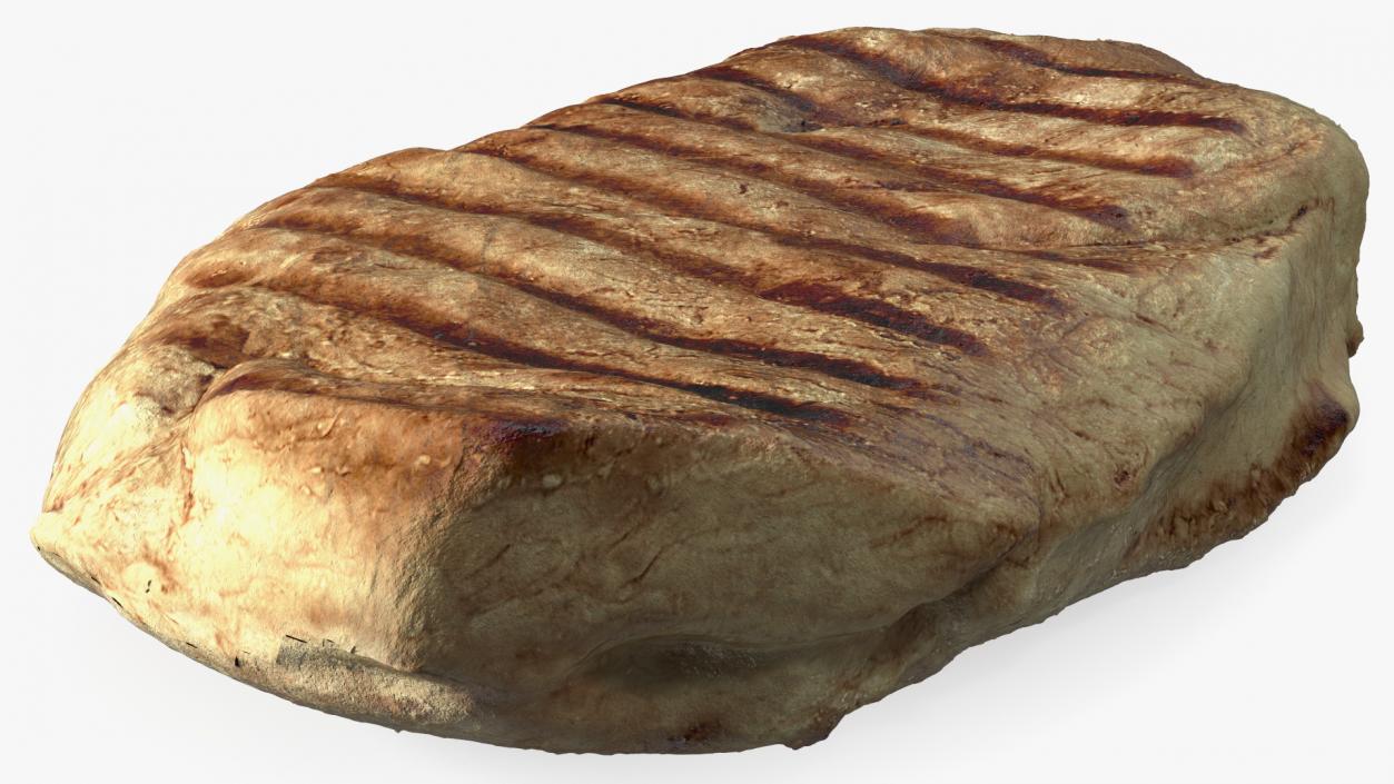 3D model Raw and Roast Steak Collection