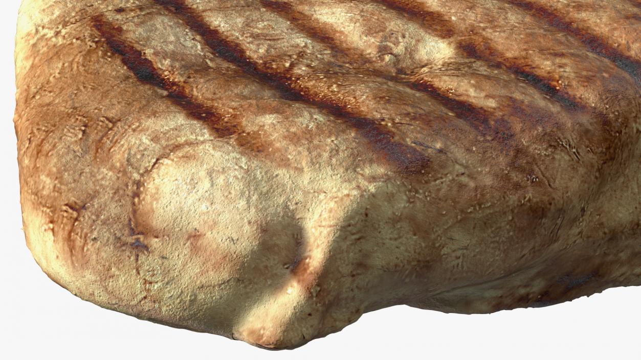 3D model Raw and Roast Steak Collection