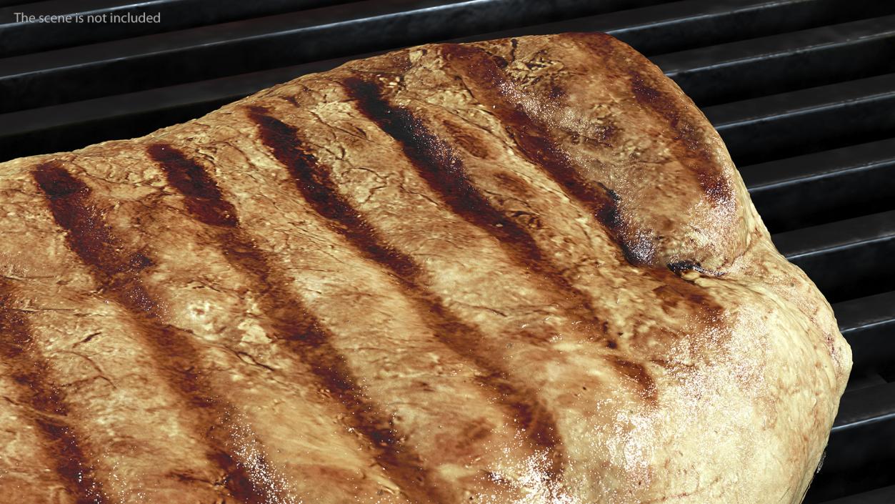 3D model Raw and Roast Steak Collection