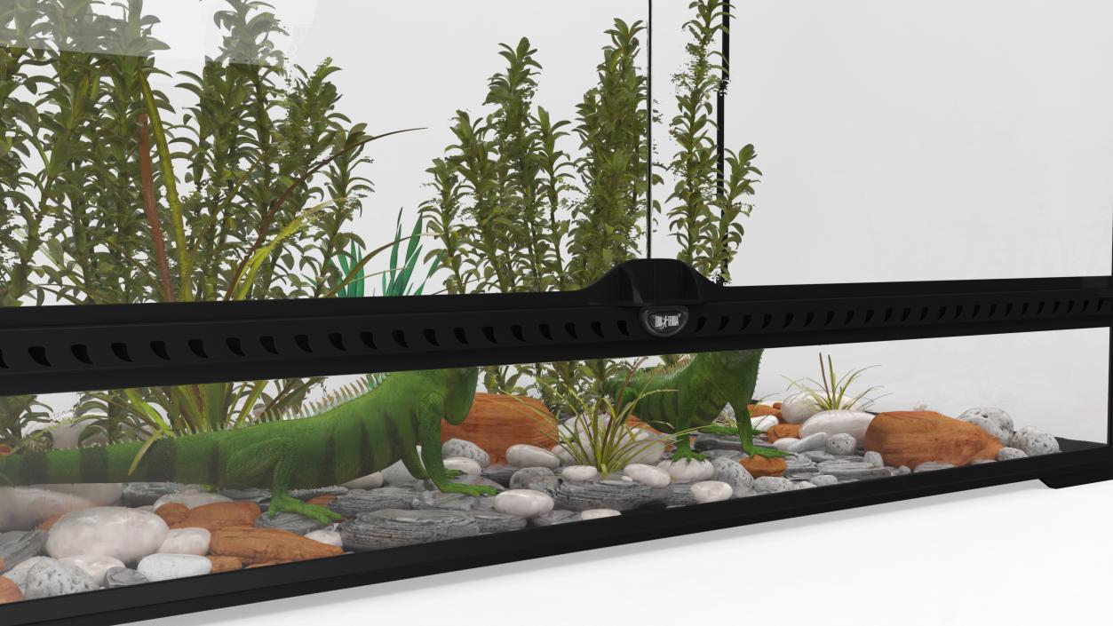 3D model Large Terrarium with Plants Garden and Two Iguanas