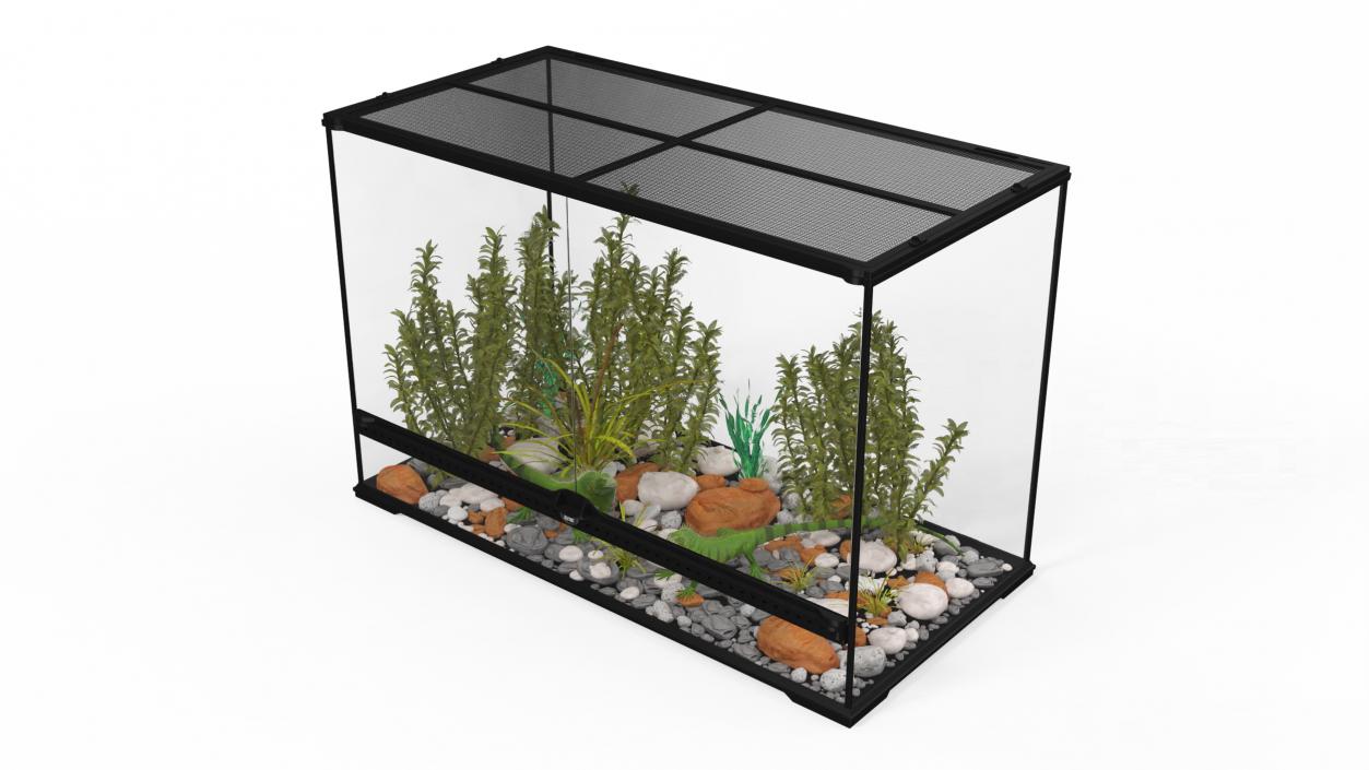 3D model Large Terrarium with Plants Garden and Two Iguanas