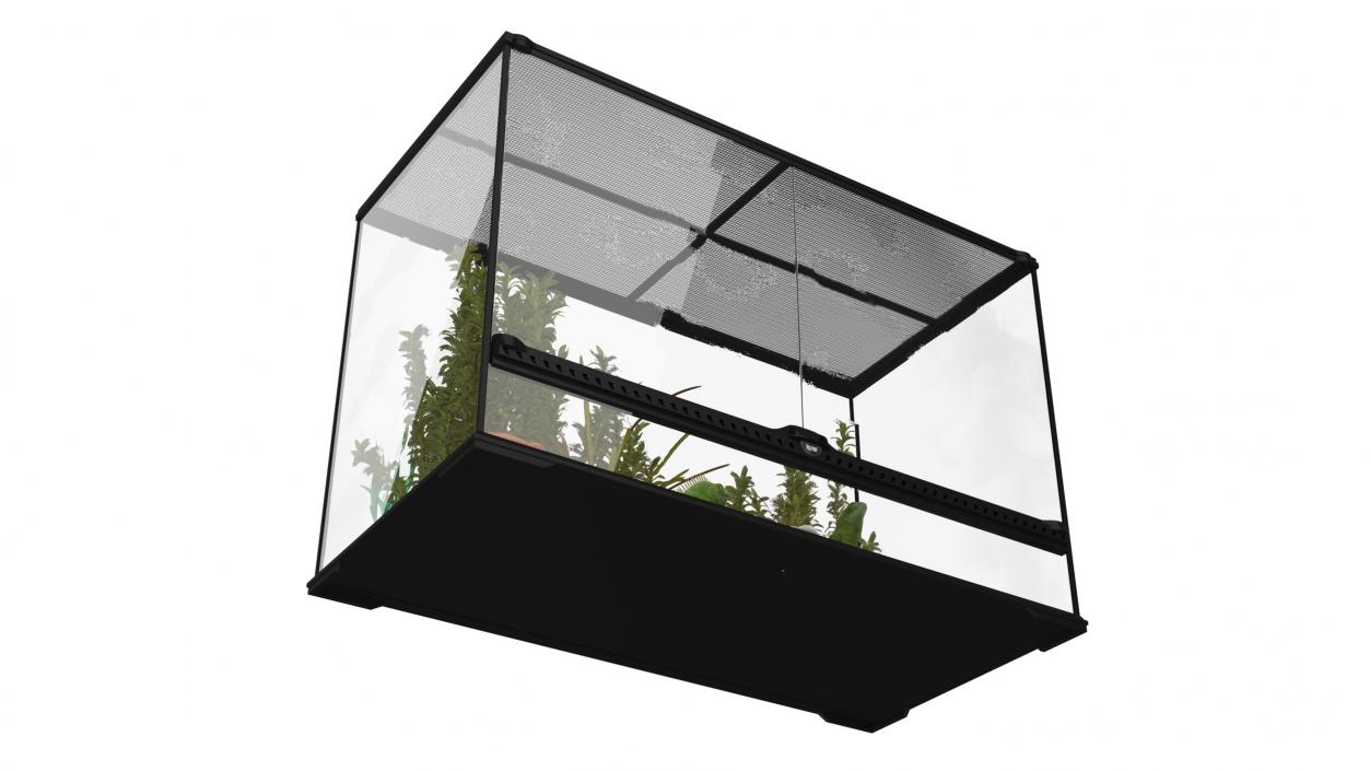 3D model Large Terrarium with Plants Garden and Two Iguanas