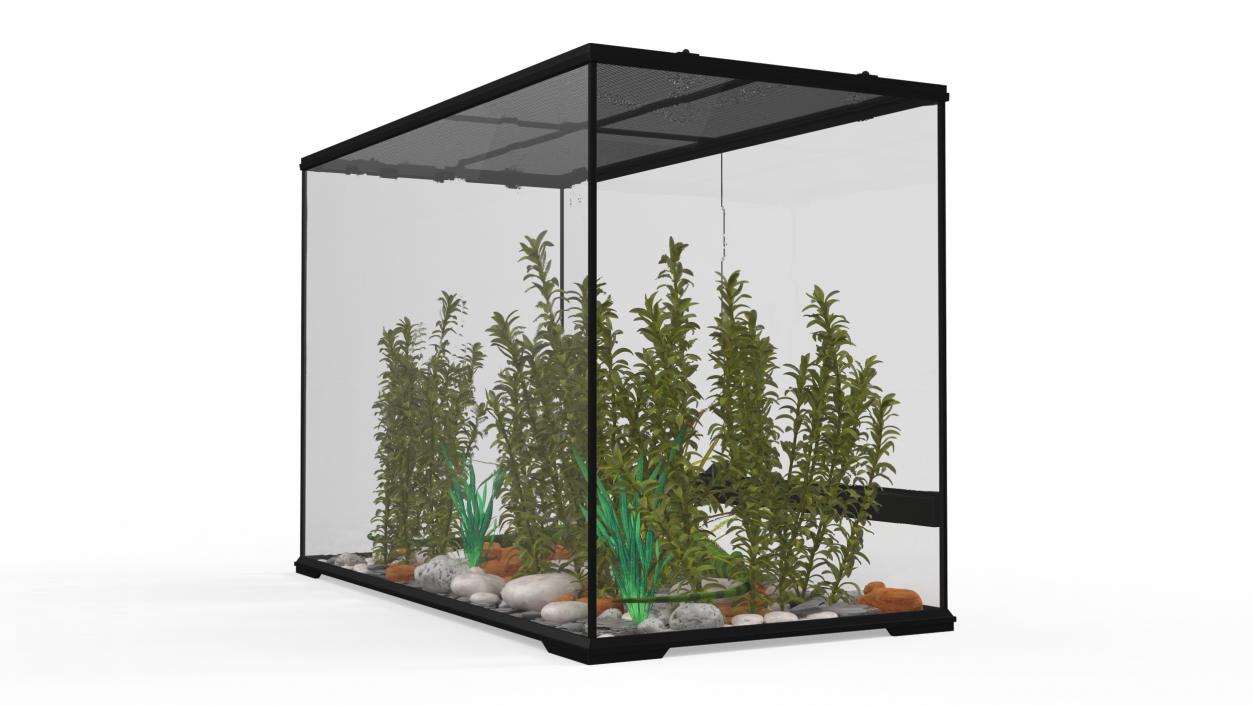 3D model Large Terrarium with Plants Garden and Two Iguanas