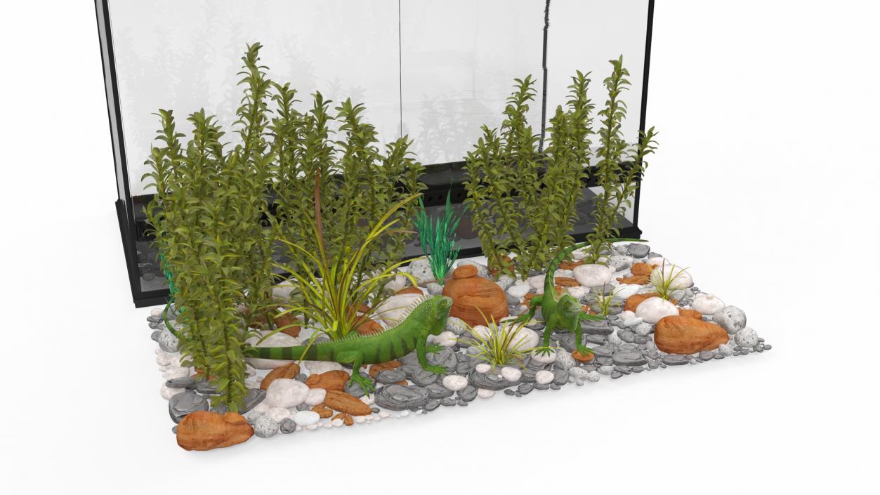 3D model Large Terrarium with Plants Garden and Two Iguanas