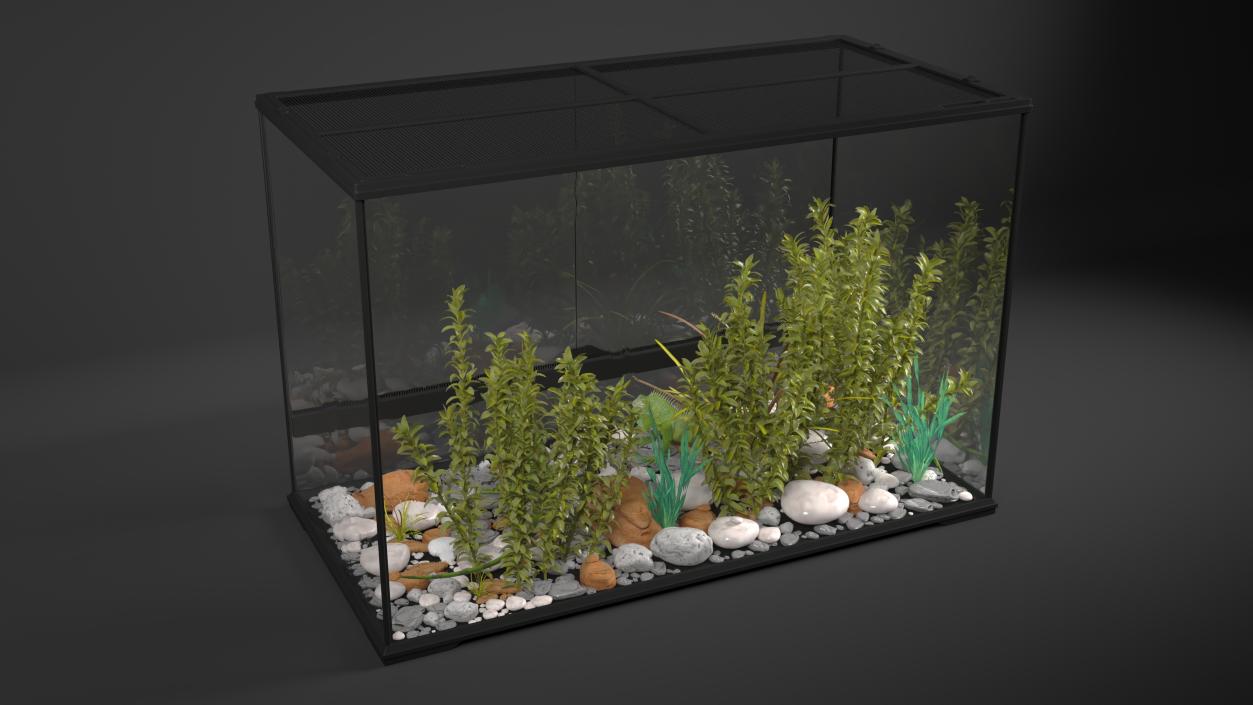 3D model Large Terrarium with Plants Garden and Two Iguanas