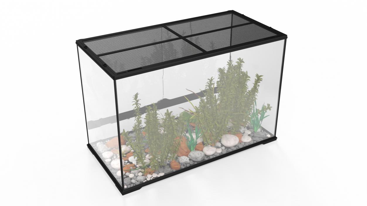 3D model Large Terrarium with Plants Garden and Two Iguanas