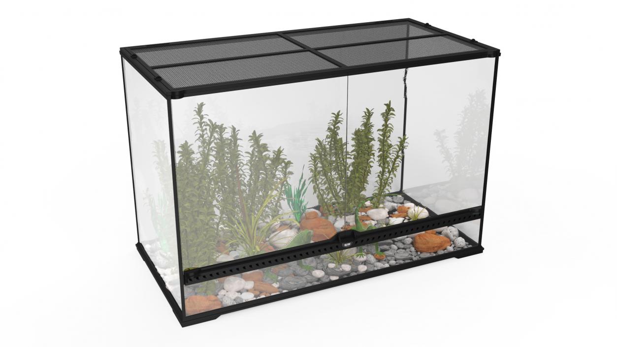 3D model Large Terrarium with Plants Garden and Two Iguanas