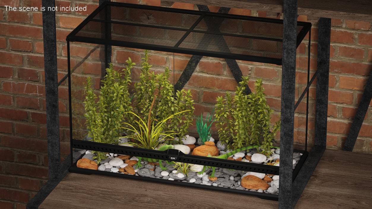 3D model Large Terrarium with Plants Garden and Two Iguanas