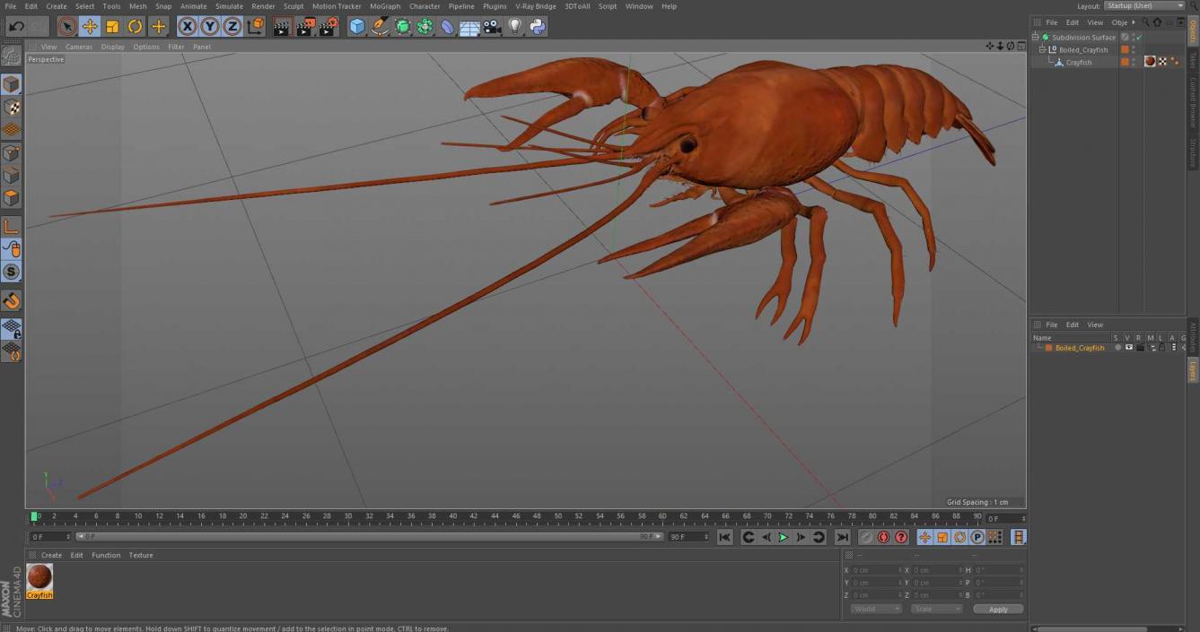 3D model Boiled Crayfish