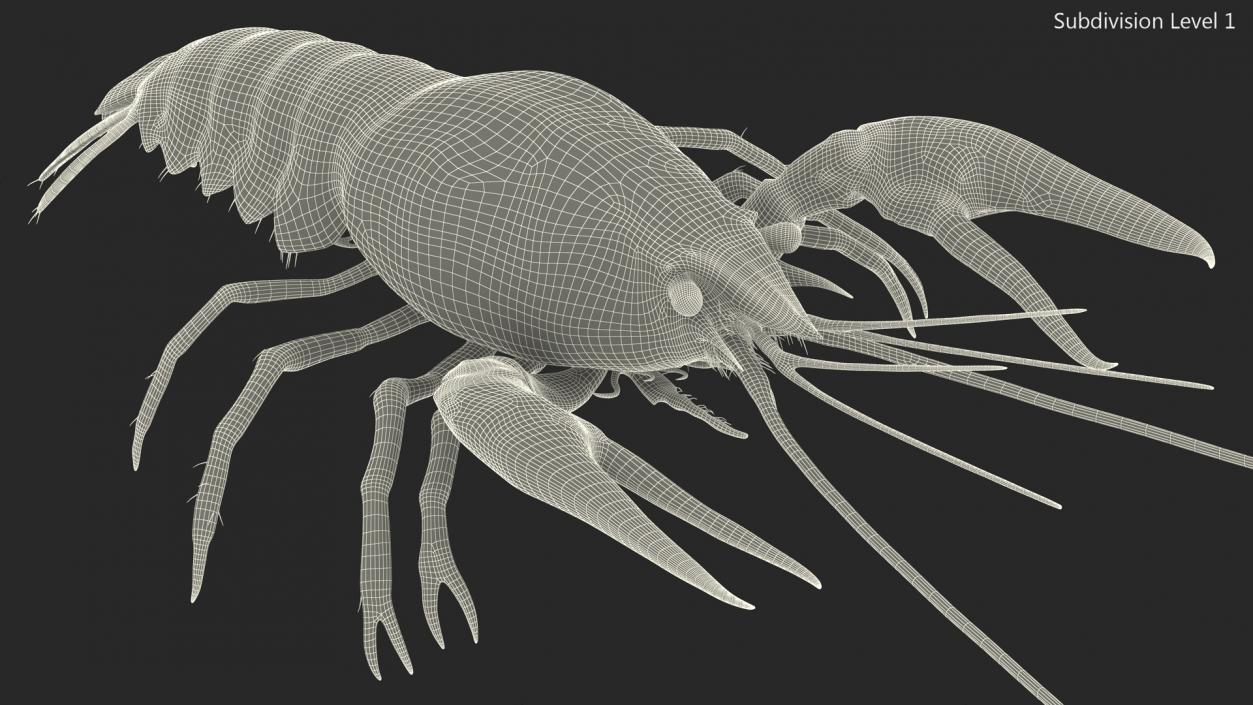 3D model Boiled Crayfish