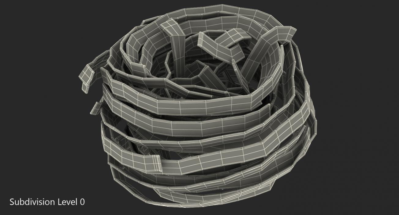 Uncooked Pasta Nest 3D model