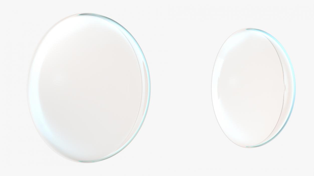 3D model Clear Contact Lenses