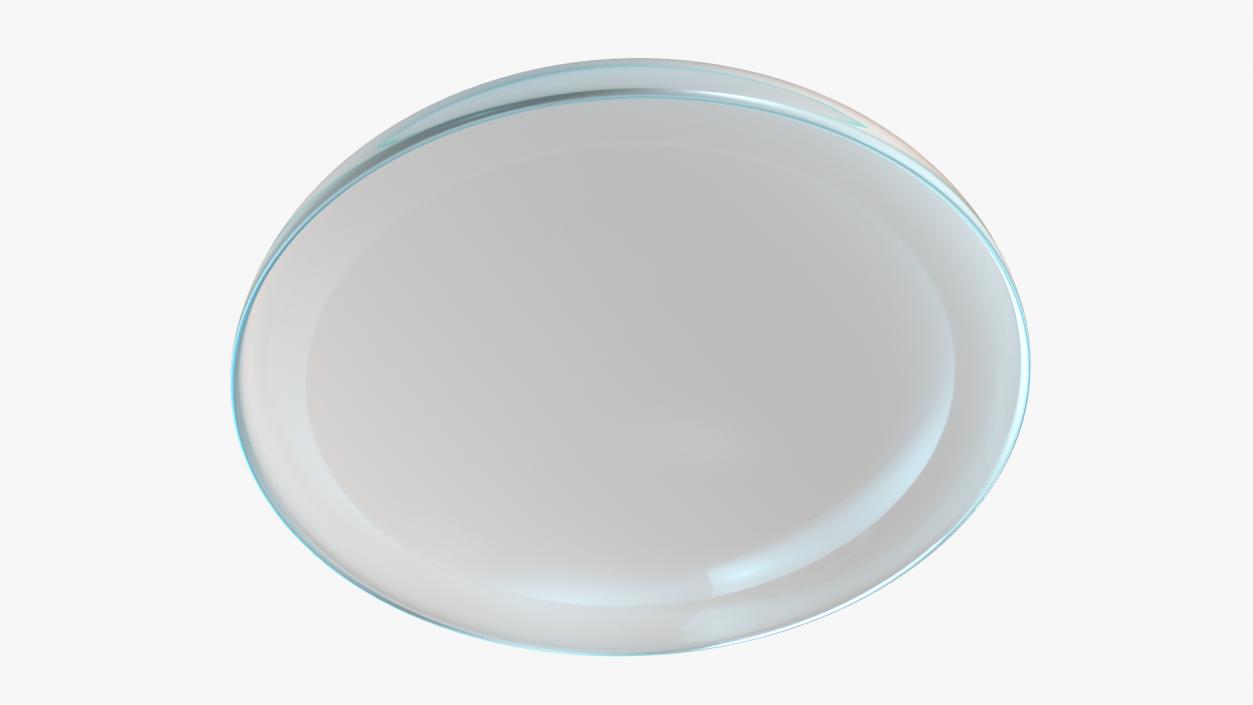 3D model Clear Contact Lenses