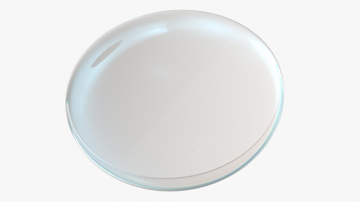 3D model Clear Contact Lenses