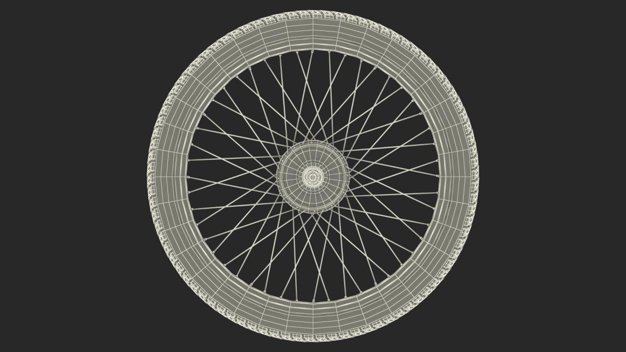 3D Bicycle Wheel model