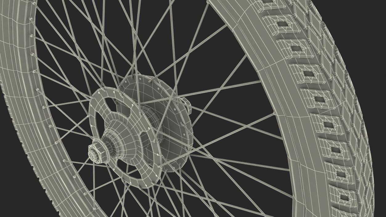 3D Bicycle Wheel model