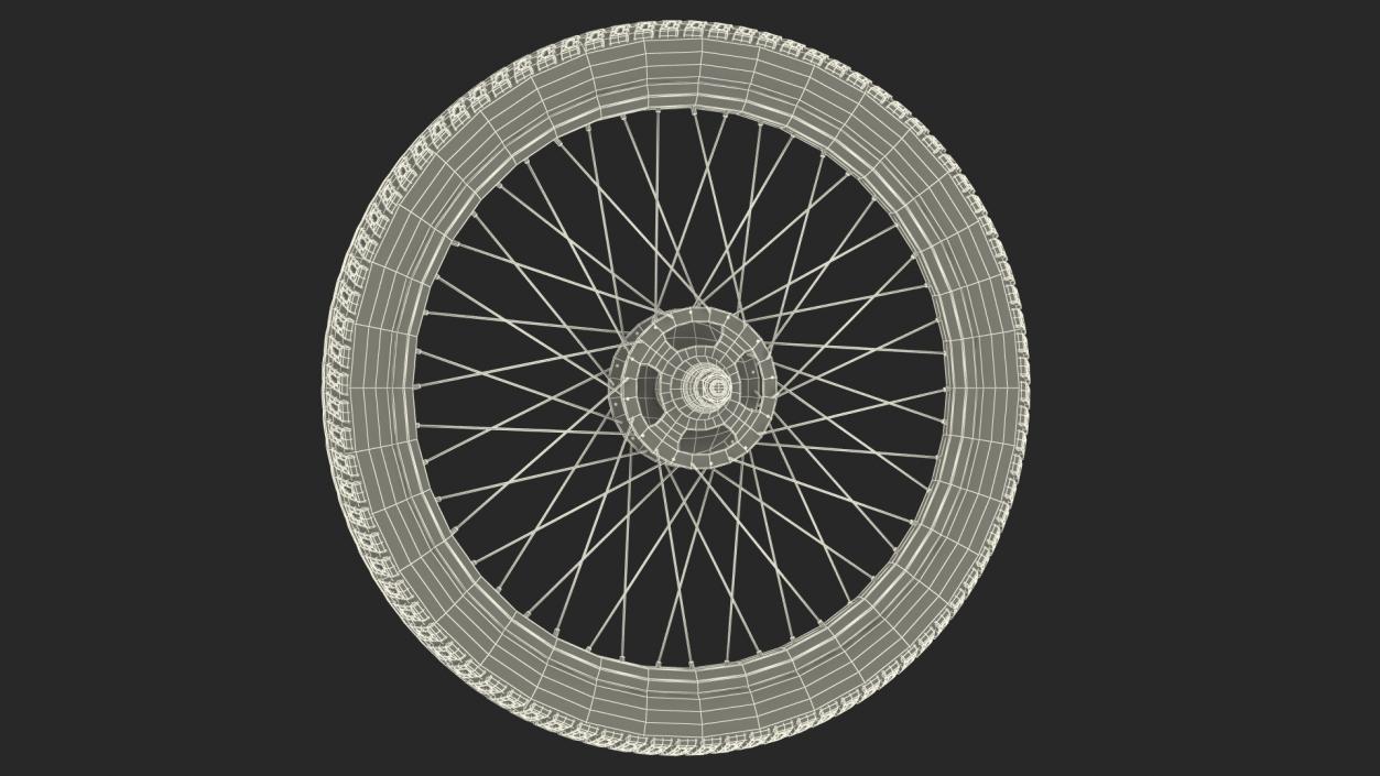 3D Bicycle Wheel model