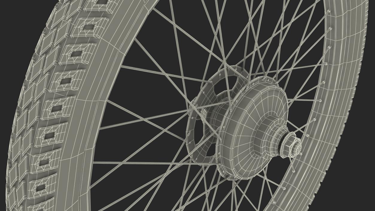 3D Bicycle Wheel model