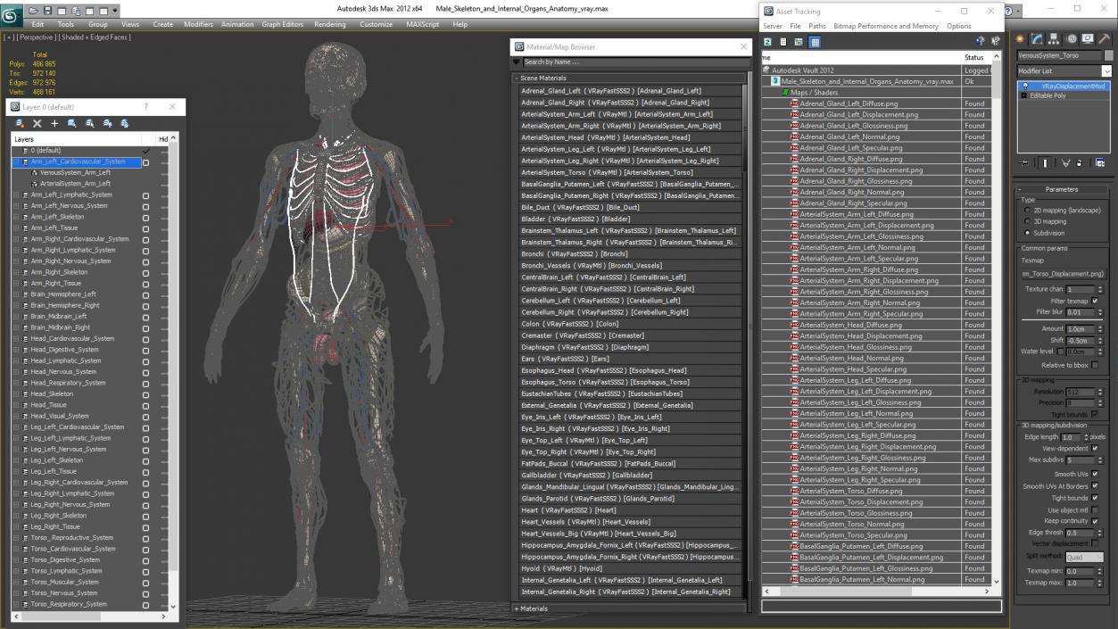 3D Male Skeleton and Internal Organs Anatomy