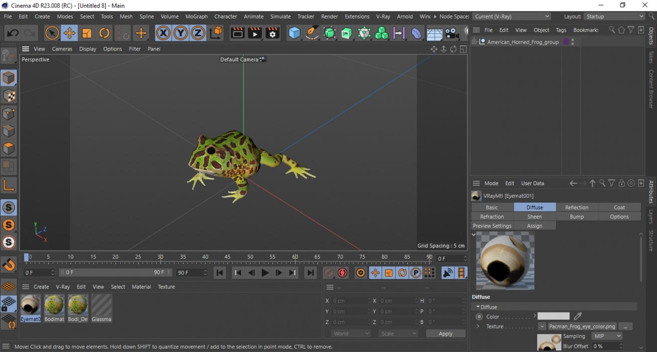 3D model American Horned Frog