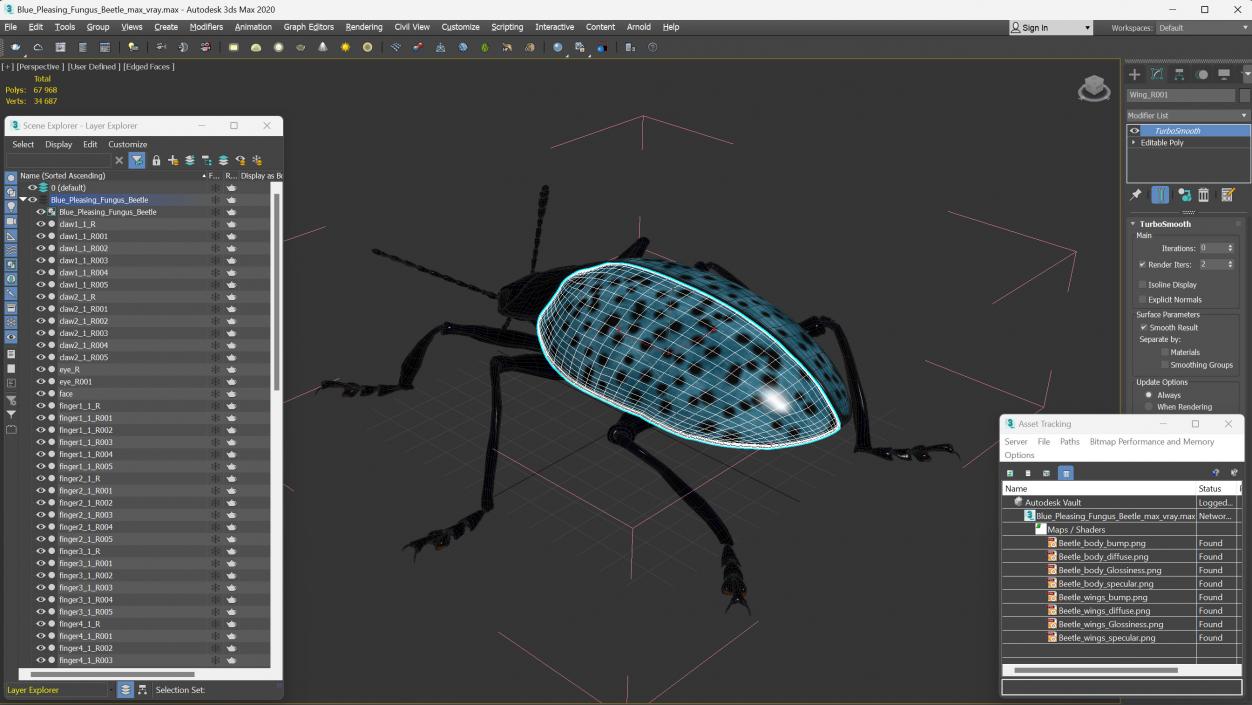 Blue Pleasing Fungus Beetle 3D