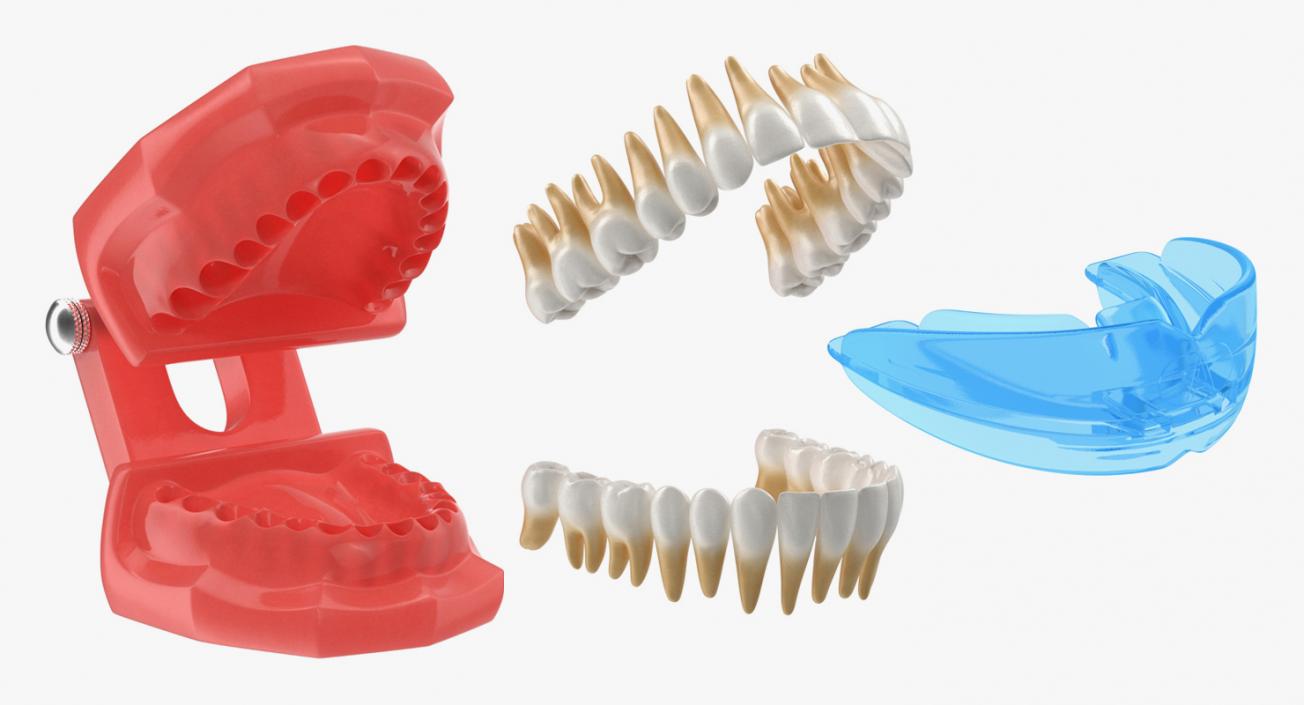 Typodont with Transparent Removable Retainer 3D model