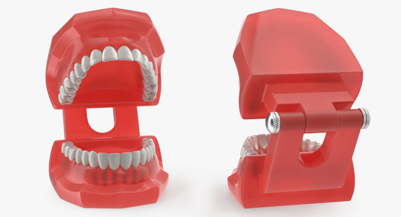 Typodont with Transparent Removable Retainer 3D model