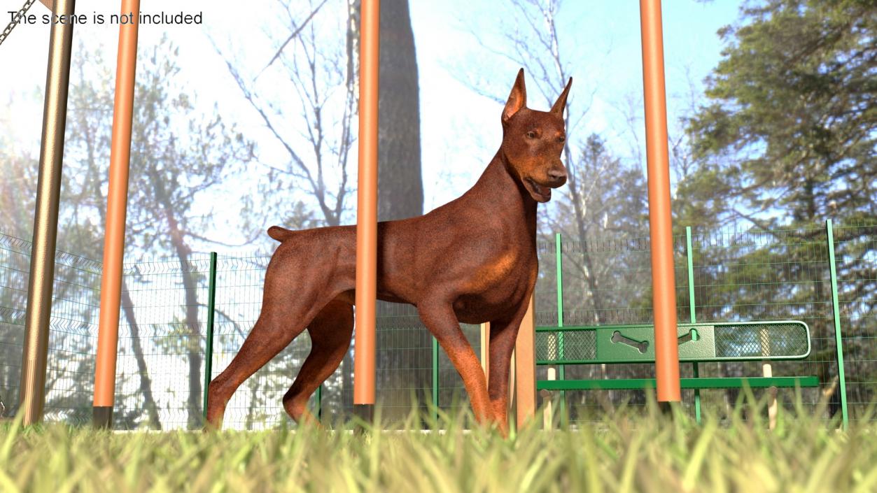 3D model Dog Park with People