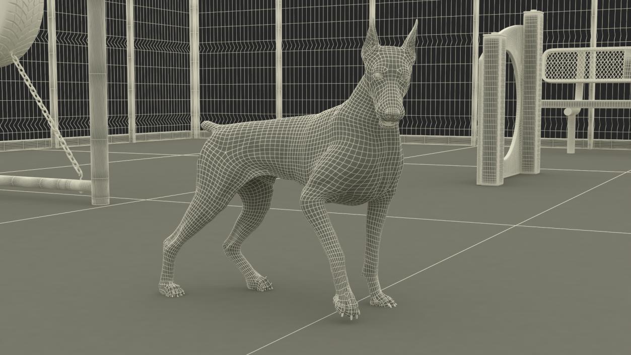 3D model Dog Park with People