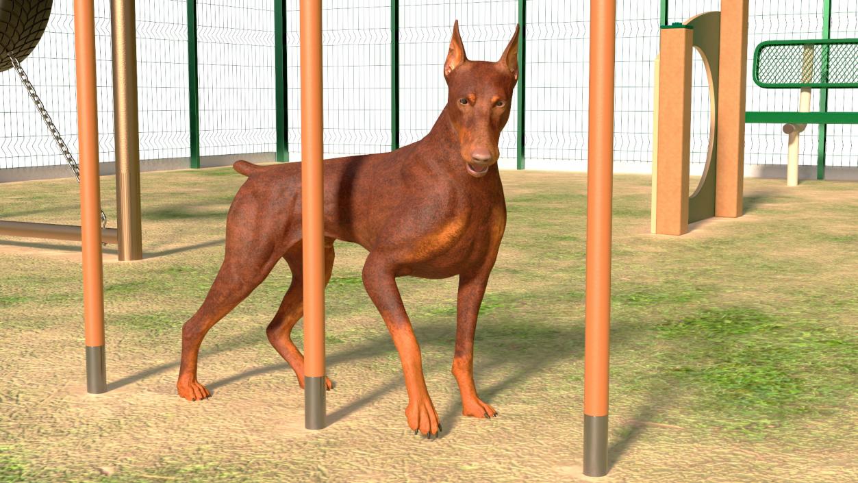 3D model Dog Park with People