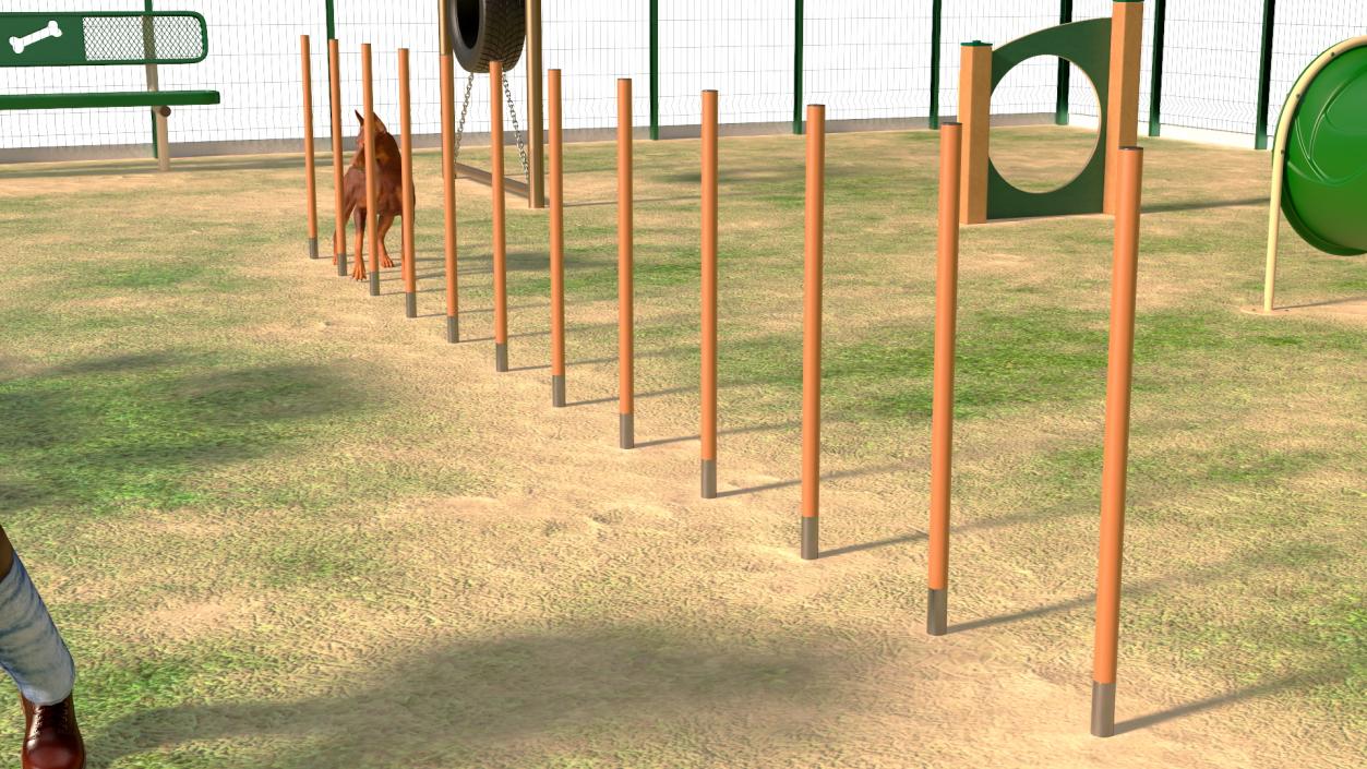 3D model Dog Park with People