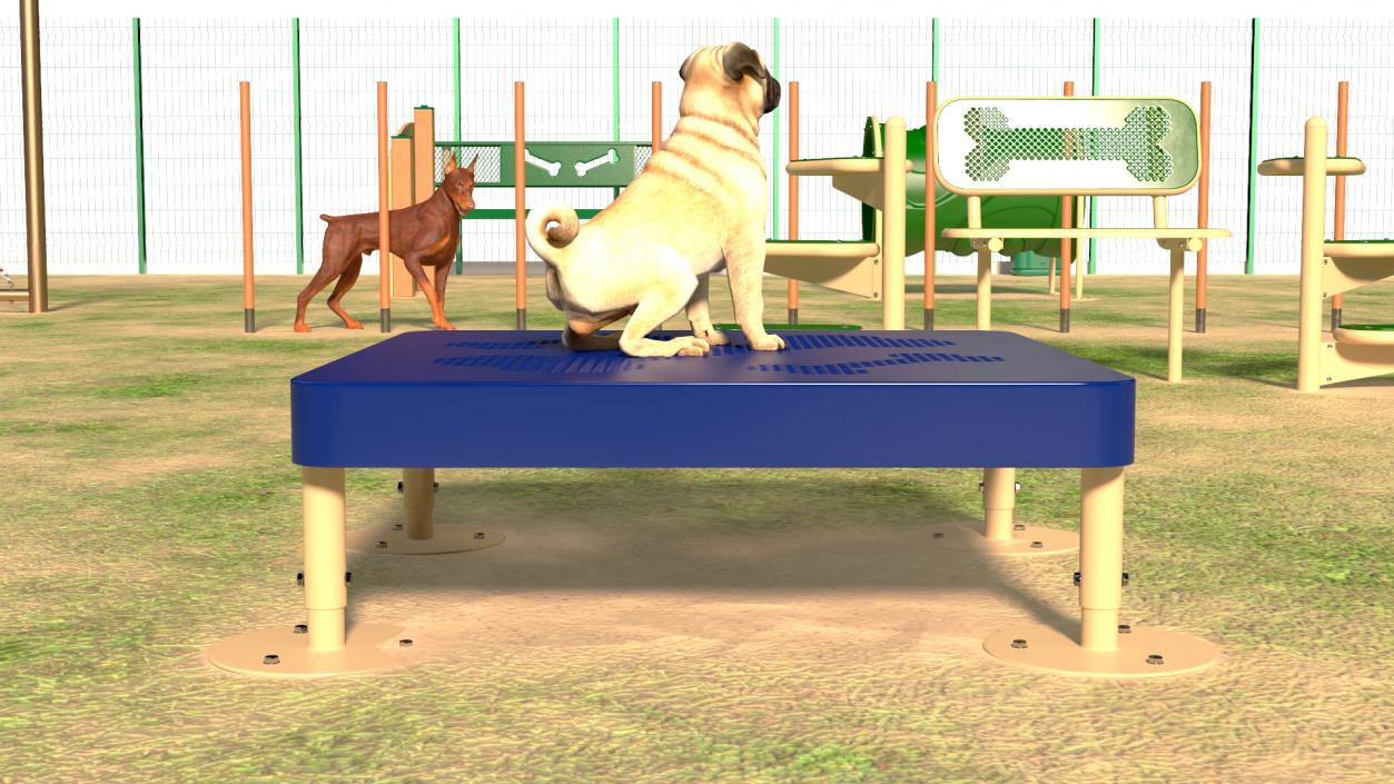 3D model Dog Park with People