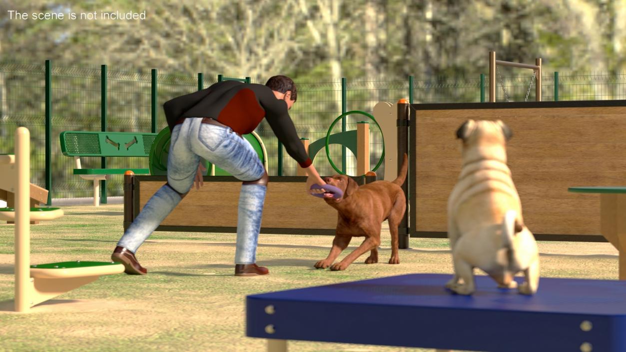 3D model Dog Park with People