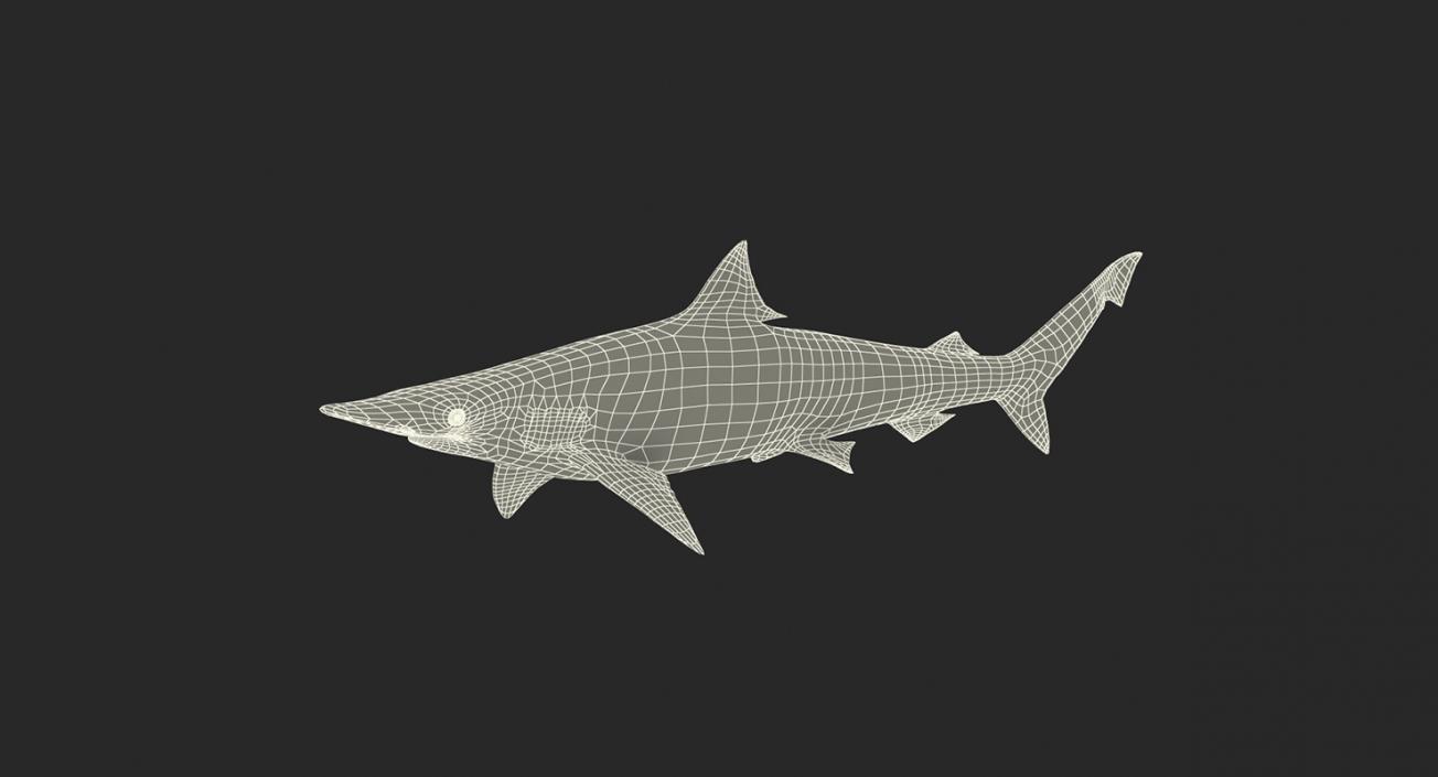 3D Rigged Sharks Collection 4