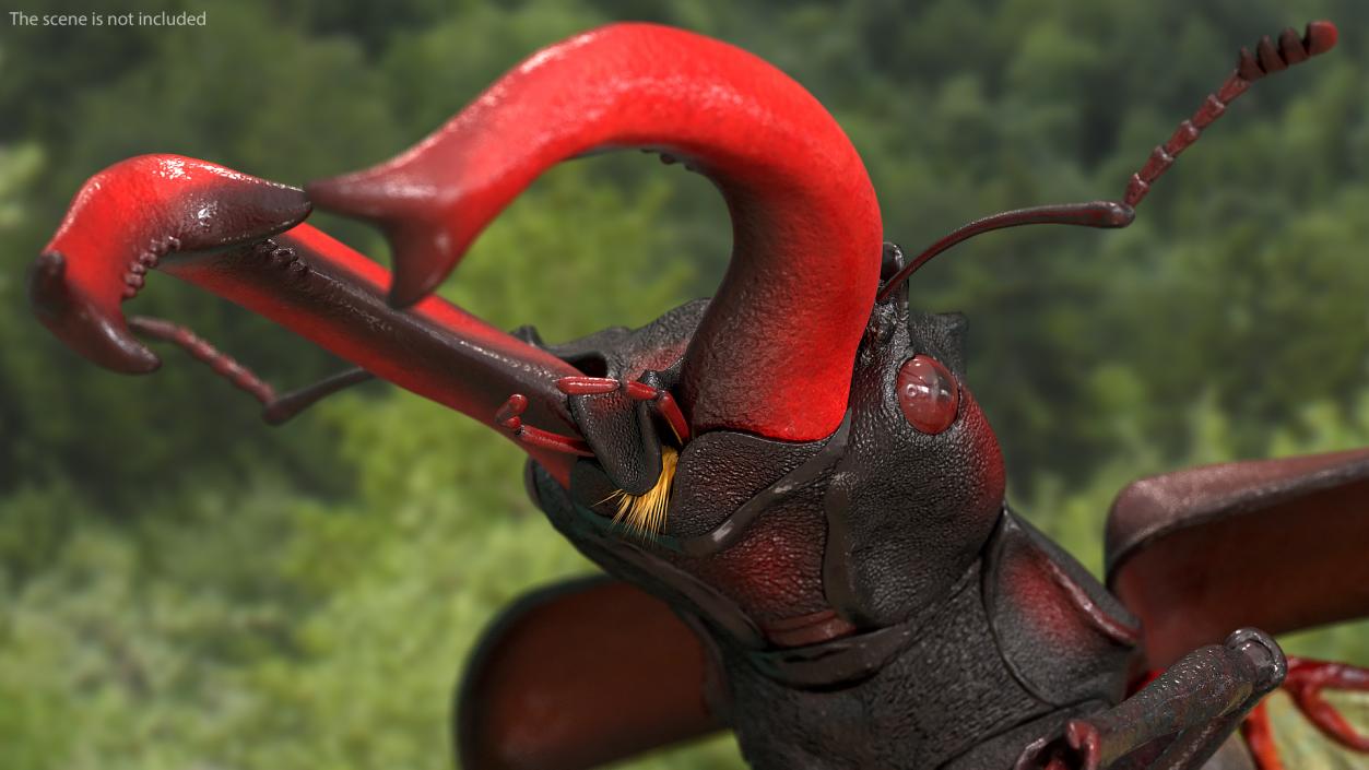 Lucanus Cervus Stag Beetle Flying with Fur 3D