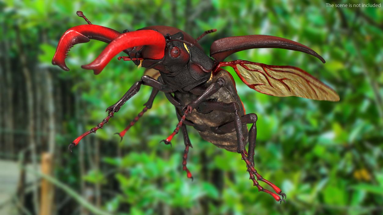 Lucanus Cervus Stag Beetle Flying with Fur 3D