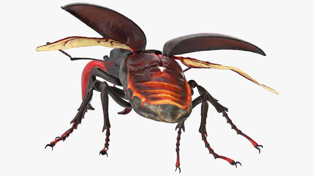 Lucanus Cervus Stag Beetle Flying with Fur 3D